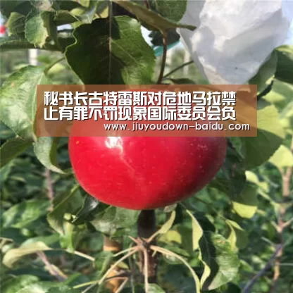 九游体育官网