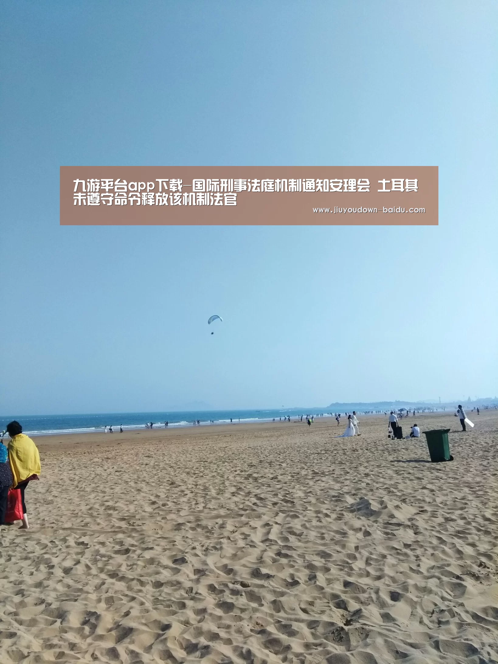 九游平台app下载-国际刑事法庭机制通知安理会 土耳其未遵守命令释放该机制法官(图4) 九游体育下载
