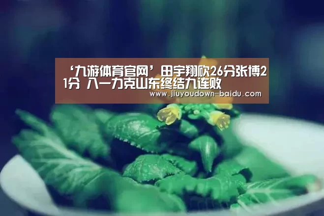 九游娱乐网站