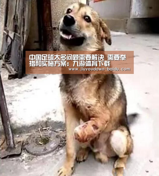 中国足球太多问题需要解决 需要举措和实施方案:九游体育下载(图1) 九游体育下载
