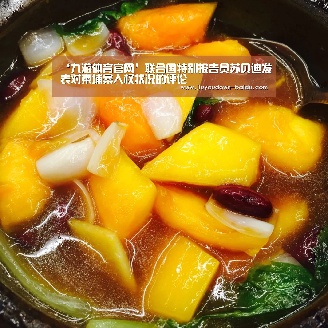 ‘九游体育官网’联合国特别报告员苏贝迪发表对柬埔寨人权状况的评论(图1) 九游体育下载