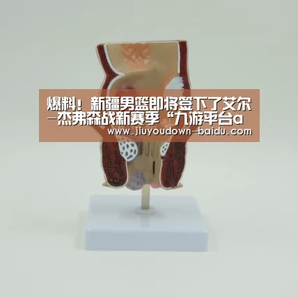 爆料!新疆男篮即将签下了艾尔-杰弗森战新赛季“九游平台app下载”(图2) 九游体育官网