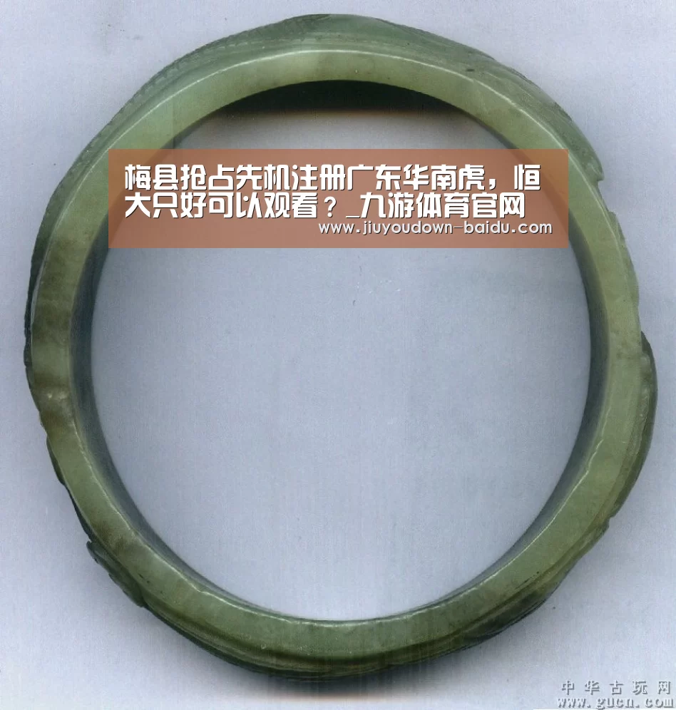 梅县抢占先机注册广东华南虎,恒大只好可以观看?_九游体育官网(图1) 九游平台app下载